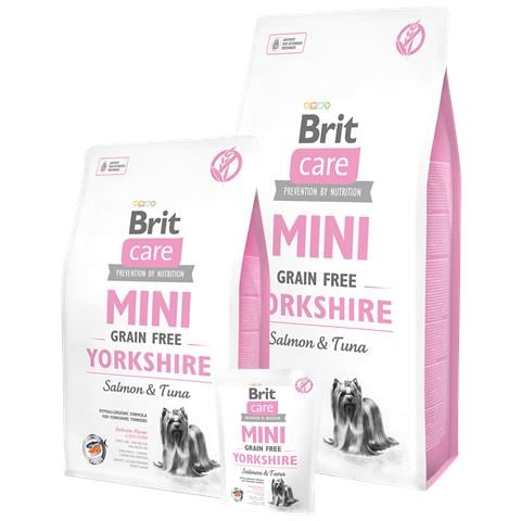 Care Mini Grain Free Yorkshire 2 kg Adulto Salmone, Tonno - Foto 1