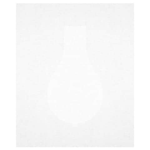 Copertura Igienica Per Wc (pacco Da 10) V0400120 - Foto 2