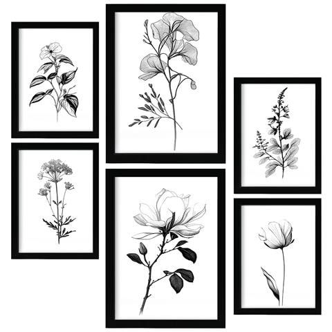 Set Di 6 Stampe Rigogliosa Natura Floreale E Stampe Botaniche Con Motivi Floreali In Un Classico Design D'interni In Bianco E Nero A3 & A4 Senza Cornice - Foto 1