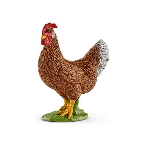 13829 Gallina - Foto 2