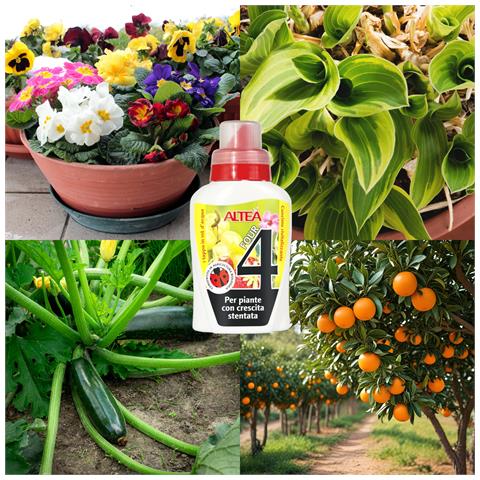 Four Concime Liquido Four Per Piante A Crescita Lenta 300 Ml - Foto 3