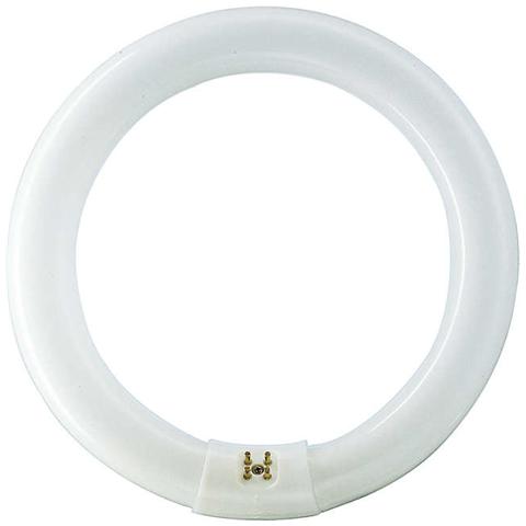 TL-E Super 80 40W / 840 1CT / 12 40W G10q A Bianco freddo lampada fluorescente - Foto 3