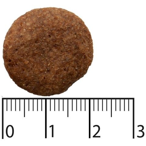 9117390 cibo secco per cani 2,5 kg Adulto Manzo, Salmone - Foto 2