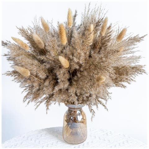 Bouquet Di Fiori Secchi 50 Pezzi - Erba Di Pampa, Code Di Coniglio E Canna Per Decorazioni Domestiche - Foto 1