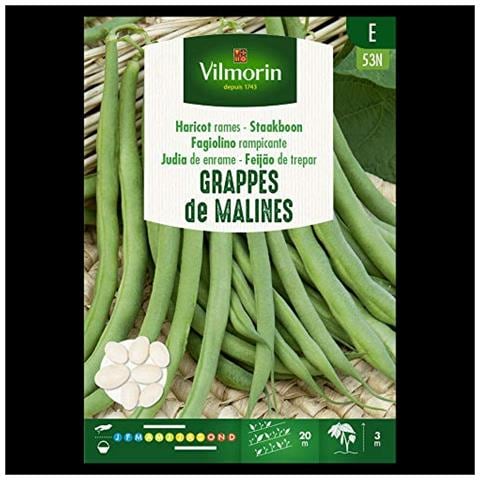 Kit 5 Pacchetti Fagiolino Rampicante Grappes De Malines - Foto 1