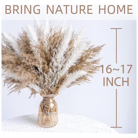 Set Di Composizioni Di Fiori Secchi - 40 Steli/scatola, Erba Di Pampa, Code Di Coniglio, Erba Di Canna Per Decorazioni Per La Casa In Stile Boho - Foto 2