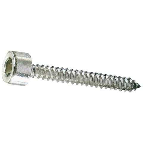 Vite Autofilettante Tcce Ambrovit - Foto 3