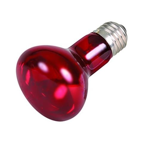 Reptiland Lampada Spot Ad Infrarossi Con Riflettore Per Rettili 75w - Foto 1