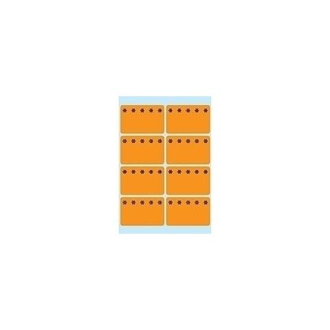 Bl. 6 Vel Fl. Oranje Diepvr. Etik - Foto 1