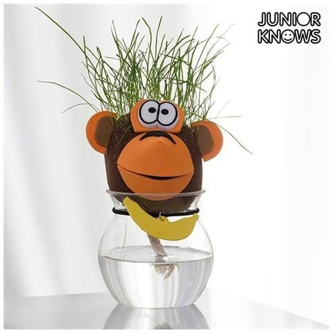 Testa D'erba Animali D2510139 - Foto 1