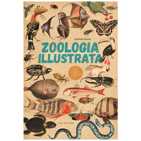 Carmen Soria - Zoologia Illustrata. Con 10 Poster - Foto 3