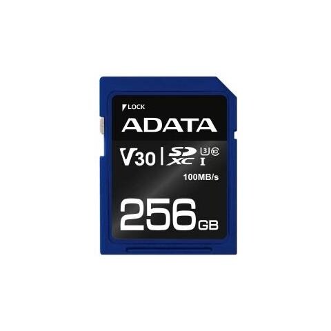 Scheda di Memoria Premier Pro SDXC Capacità 256 GB Classe 10 UHS-I U3 - Foto 2