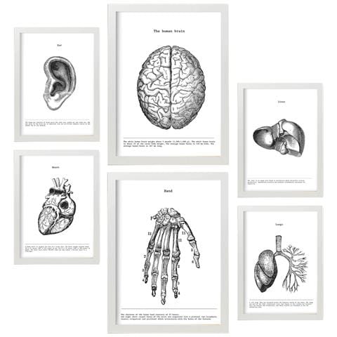 Set Di 6 Stampe Collezione Di Piatti Belies Con Collage Estetico Per La Decorazione D'interni A3 & A4 Cornice Bianca - Foto 1