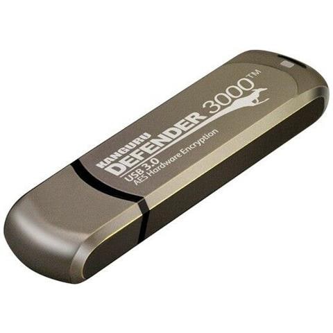 Chiavetta USB Defender 3000 256 GB Interfaccia USB tipo-C 3.2 Gen 1 (3.1 Gen 1) Grigio - Foto 1