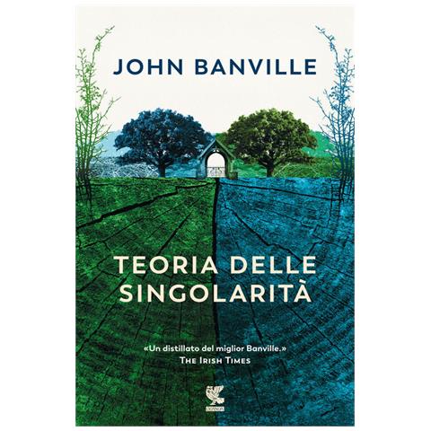 John Banville - Teoria delle singolarità - Foto 1