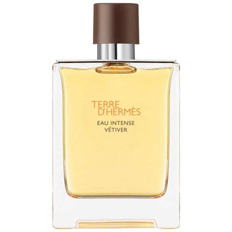 Terre Dhermes Eau Intense Vetiver Spray 100ml - Foto 1