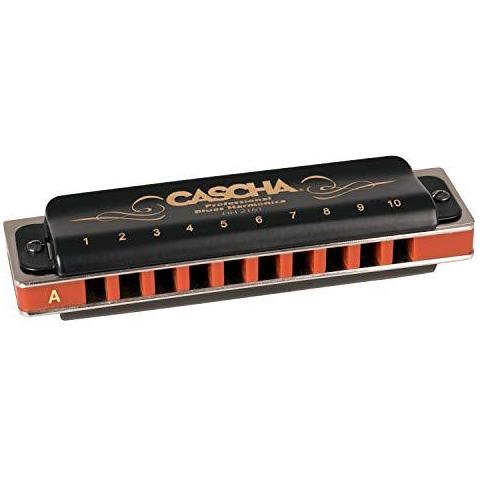 Professionale Armonica Tasto Di A Diatonica Blues Harmonica Set Bocca Organo Per Adulti Con Il Caso E Panno Cura Hh 2161 - Foto 2
