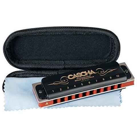 Professionale Armonica Tasto Di A Diatonica Blues Harmonica Set Bocca Organo Per Adulti Con Il Caso E Panno Cura Hh 2161 - Foto 1