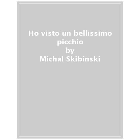 Michal Skibinski - Ho Visto Un Bellissimo Picchio - Foto 1