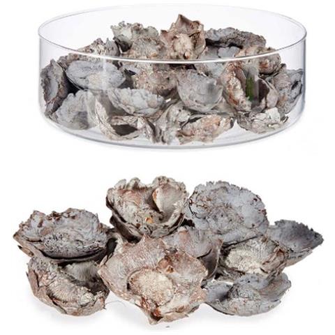 Fiori Decorativi Naturale (12 Unità) - Foto 3