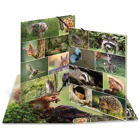 Sammelmappe A3 Waldtiere raccoglitore ad anelli Multicolore - Foto 1