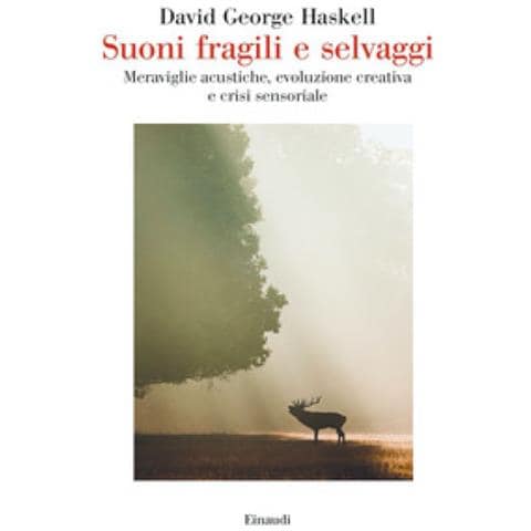 David George Haskell - Suoni Fragili E Selvaggi. Meraviglie Acustiche, Evoluzione Creativa E Crisi Sensoriale - Foto 1