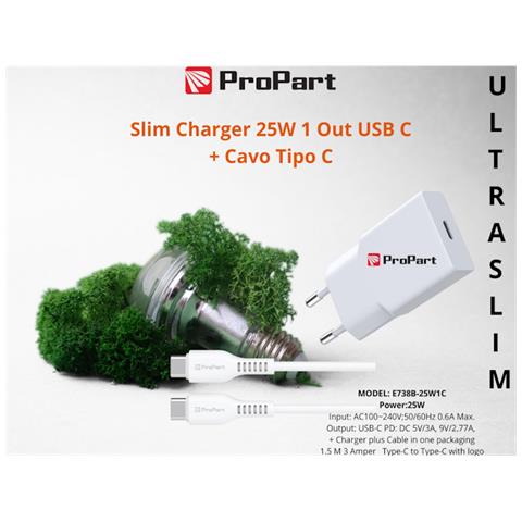Slim Carica Batterie + Cavo Tipo C 25W 1 Out USB C - Foto 1