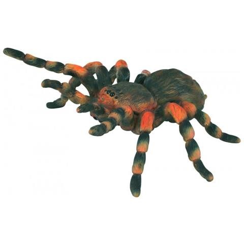 Insetti: Tarantola Messicana Dalle Ginocchia Rosse 8 X 8,7 Cm - Foto 1