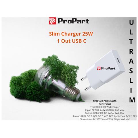 Slim Carica Batterie 25W 1 Out USB C - Foto 1