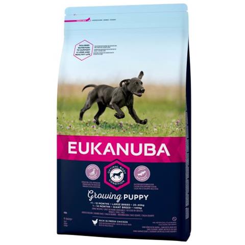 Cibo Secco Per Cani Puppe Grande Taglia3 Kg - Foto 1