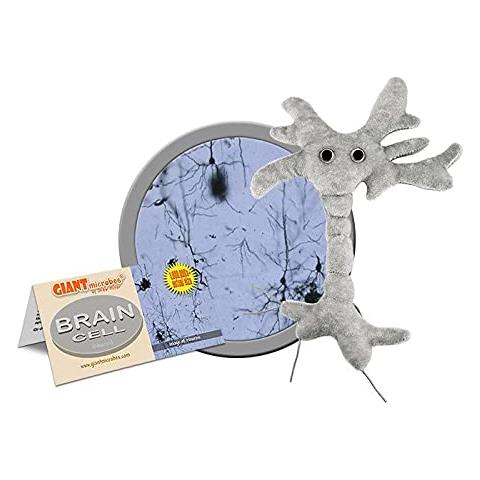 Giantmicrobes Peluche Delle Cellule Cerebrali - Scopri La Scienza Del Cervello Con Questo Memorabile Neurone Di Peluche, Divertente Regalo Educativo Per La Famiglia, Gli Amici, Gli Scienziati, Gli Studenti, I Medici, Gli Appassionati Di Neuroscienze E Ps - Foto 1
