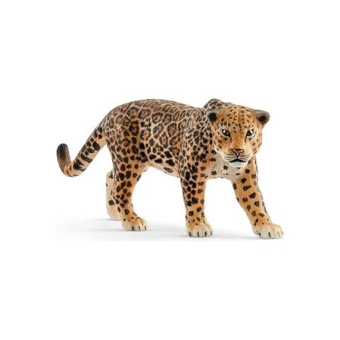 14769 Giaguaro - Foto 2