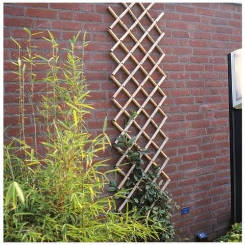 Pergolato Da Giardino 70x180 Cm Bambù 6040721 - Foto 1