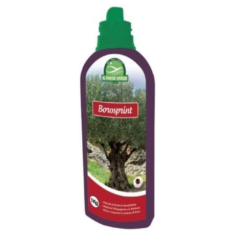 Boro 1lt. Concime Liquido A Base Del Microelemento Boro Fogliare Borosprint - Foto 1