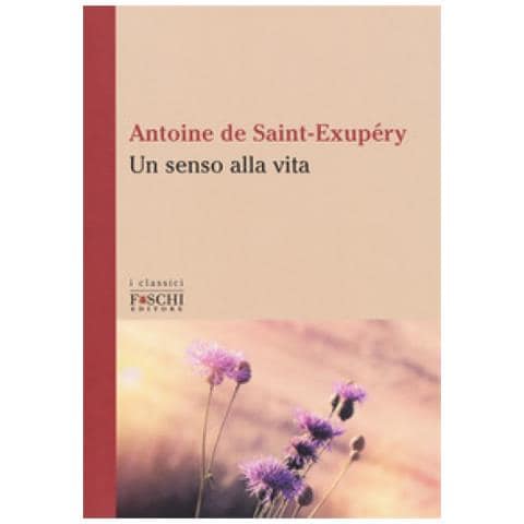 Antoine de Saint-Exupéry - Un senso alla vita - Foto 1