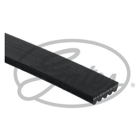 Accessorio Strap 5pk963 - Foto 1