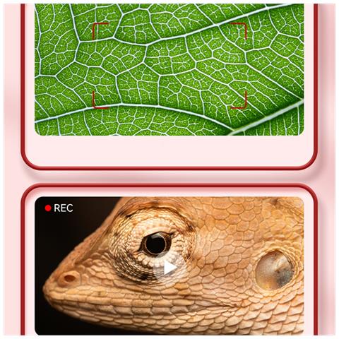 Microscopio Digitale Portatile Con Schermo Led, Ingrandimento 1000x Per Educazione Stem Pink - Foto 6
