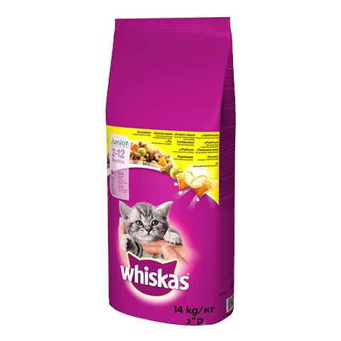 5900951014369 cibo secco per gatti 14 kg Gattino Pollo - Foto 1