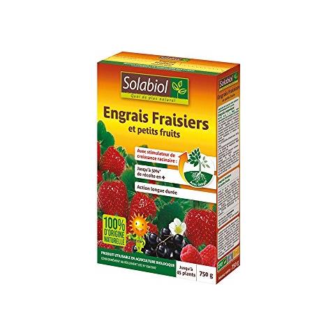 Fecondazione Strawberry - Caso 750 G - Foto 1