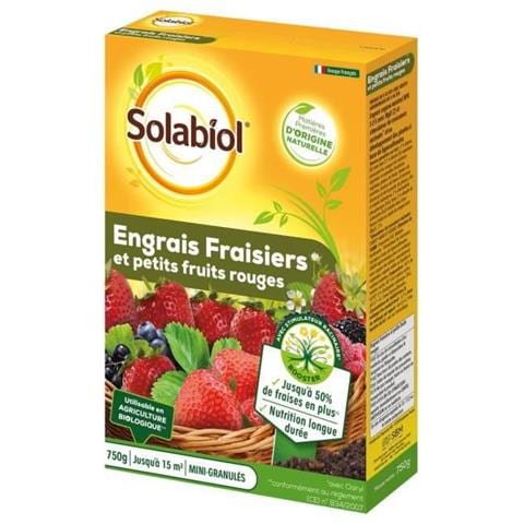 Fecondazione Strawberry - Caso 750 G - Foto 2