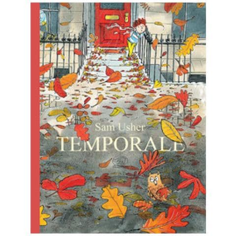 Sam Usher - Temporale. Ediz. Mini - Foto 1