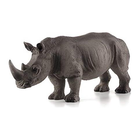 White Rhino - Foto 2