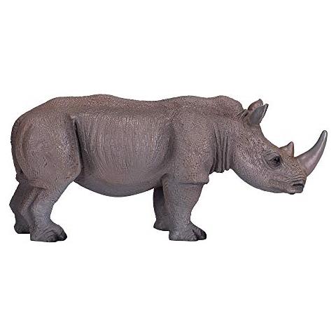 White Rhino - Foto 1