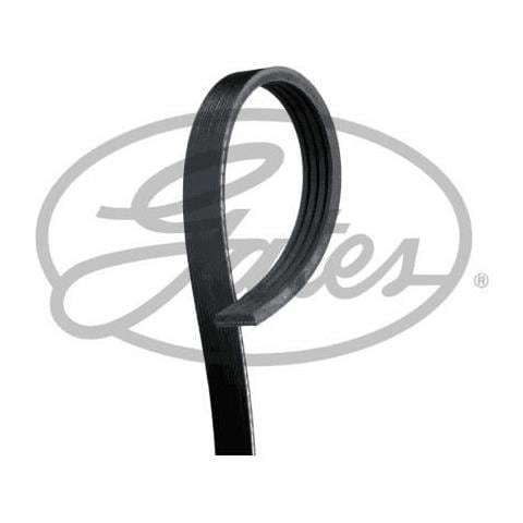 Accessorio Strap 4pk855 - Foto 1