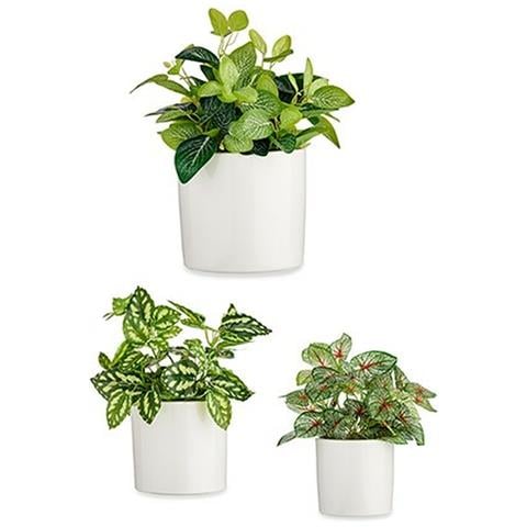 Set Di Vasi Ø 14 Cm Ø 22 Cm Ø 17 Cm Cilindro 3 Pezzi Bianco - Foto 2