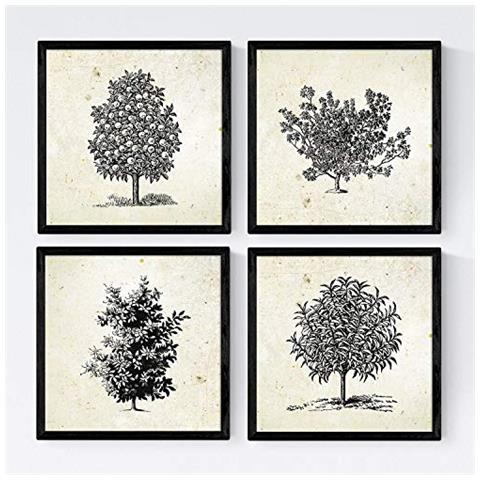 Set Di 4 Stampe Fogli Di Alberi Alberi Da Frutto In Taglia Annata Vecchia Carta Sfondo Poster Carta E Inchiostri Senza Cornice 20x20 Cm - Foto 1