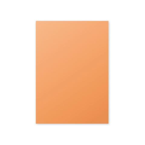 4208C, A4 (210×297 mm) , Universale, Bianco - Foto 1