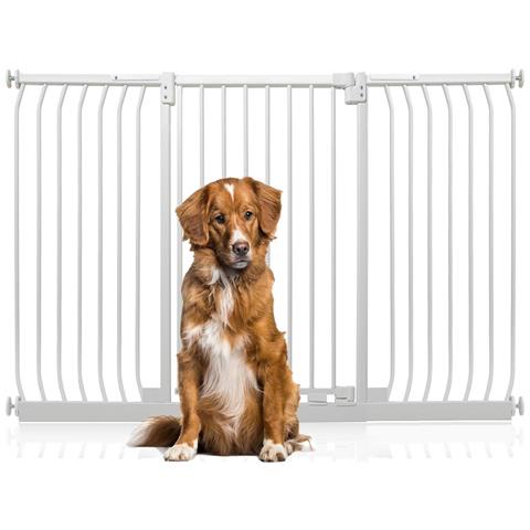Bettacare Cancelletto Per Cani Elite Extra Alto, 161cm - 170cm, Bianco Opaco, Extra Alto Con 100cm Di Altezza - Foto 1