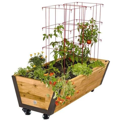 4 Castor Ruote 50mm Viti 200kg Heavy Duty Ruote Girevoli Ruote Ruote In Gomma Per Mobili Carrello Di Bed Workbench - Foto 4