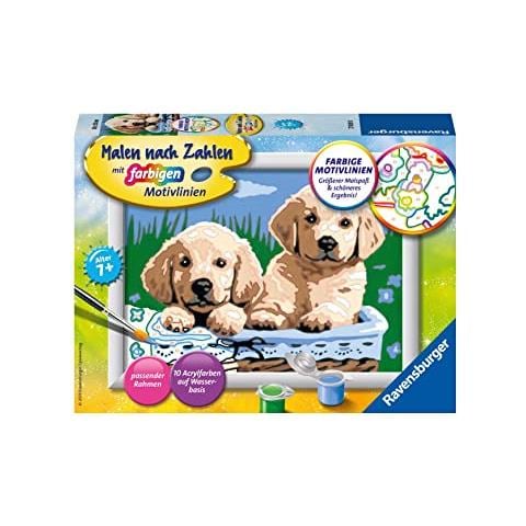 Creart Serie E Cani Retriever - Foto 2